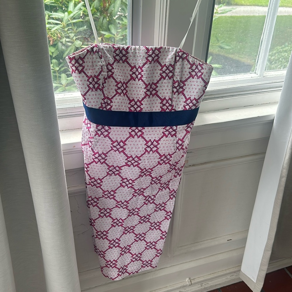 Special Vineyard Vines dress!